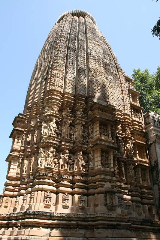 India & Nepal 2011 - 0950